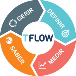 ciclo t.flow